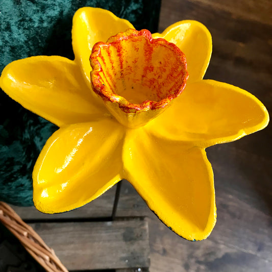 Daffodil Bird Feeder